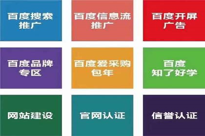 某电商平台sem竞价运营的突破与挑战